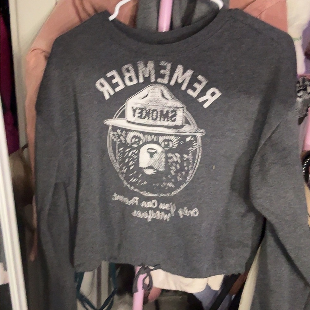 Smokey Bear Cropped Sweatshirt 🐻 | Size XS | Forest Ranger Graphic